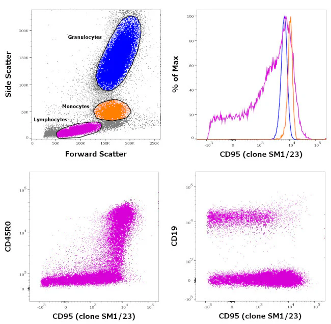 CD95 (APO-1/Fas) Monoclonal Antibody (SM1/23), Biotin, eBioscience