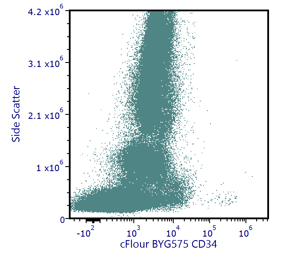 cFluor<sup>®</sup> BYG575 Anti-Human CD34 (4H11)