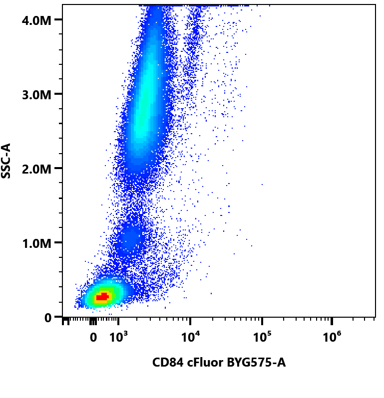 cFluor<sup>®</sup> BYG575 Anti-Human CD84 (CD84.1.21) - Image 2