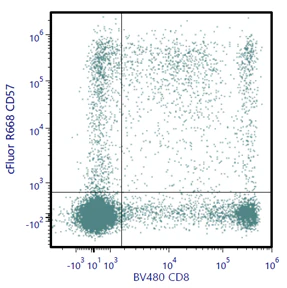 cFluor® R668 Anti-Human CD57 (HNK-1)