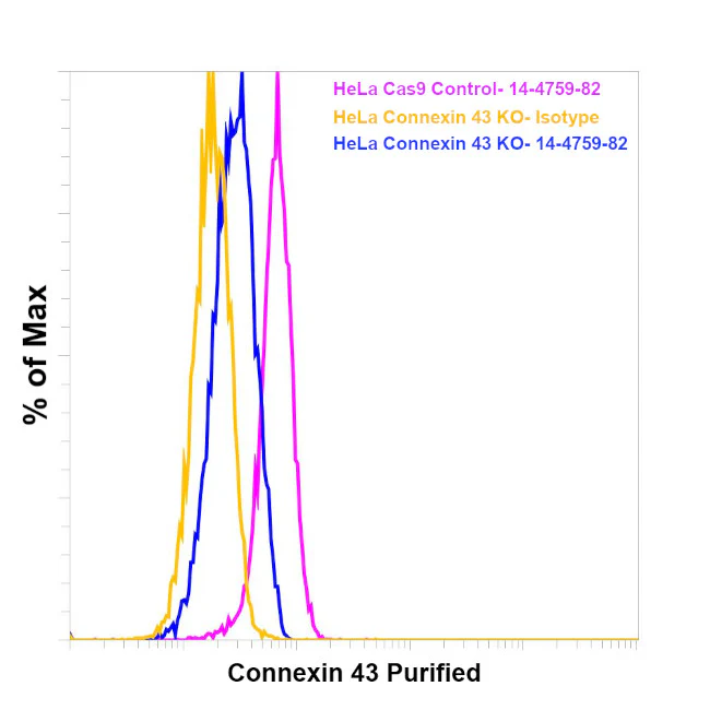 Connexin 43 Monoclonal Antibody (Connexin43 (1A)), eBioscience