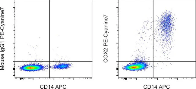 COX2 Monoclonal Antibody (COX 229), PE-Cyanine7, eBioscience