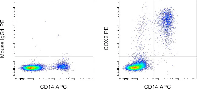 COX2 Monoclonal Antibody (COX 229), PE, eBioscience