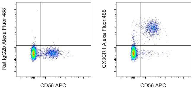 CX3CR1 Monoclonal Antibody (2A9-1), Alexa Fluor 488, eBioscience