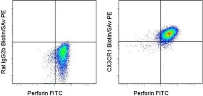 CX3CR1 Monoclonal Antibody (2A9-1), Biotin, eBioscience