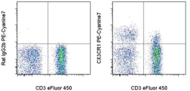 CX3CR1 Monoclonal Antibody (2A9-1), PE-Cyanine7, eBioscience