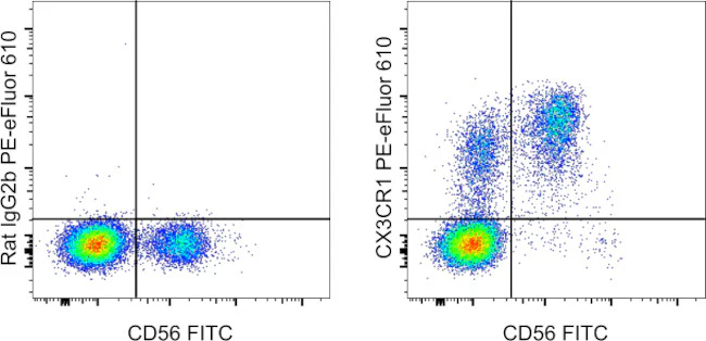CX3CR1 Monoclonal Antibody (2A9-1), PE-eFluor 610, eBioscience