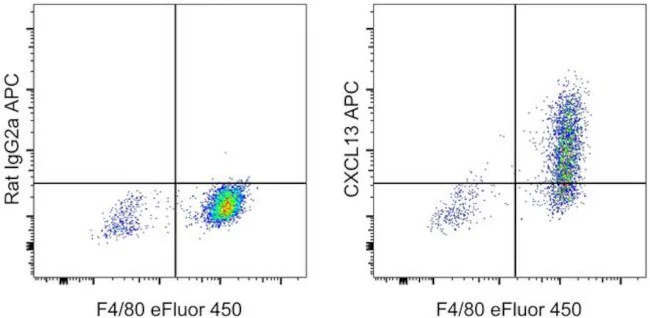 CXCL13 Monoclonal Antibody (DS8CX13), APC, eBioscience