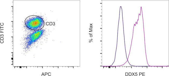 DDX5 Monoclonal Antibody (Ab204), PE, eBioscience