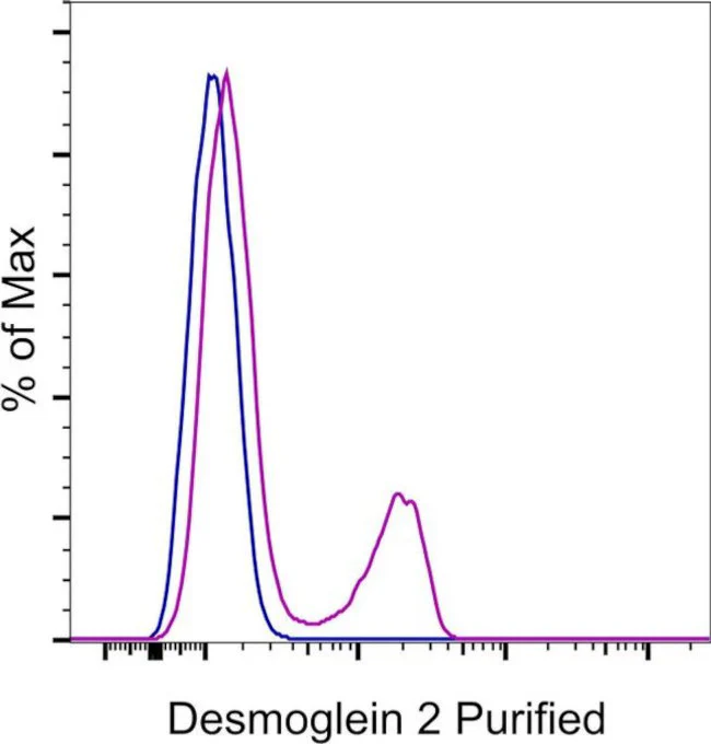 Desmoglein 2 Monoclonal Antibody (CSTEM28), eBioscience