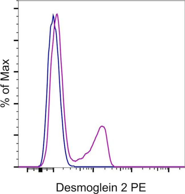 Desmoglein 2 Monoclonal Antibody (CSTEM28), PE, eBioscience