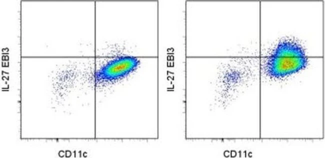 EBI3 (IL-27 subunit) Monoclonal Antibody (ebic6), PE, eBioscience