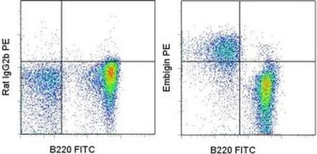 Embigin Monoclonal Antibody (G7.43.1), PE, eBioscience
