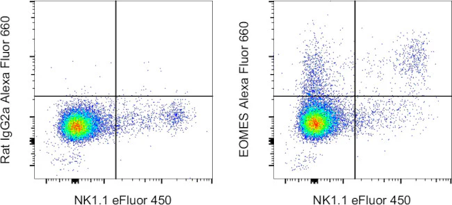 EOMES Monoclonal Antibody (Dan11mag), Alexa Fluor 660, eBioscience