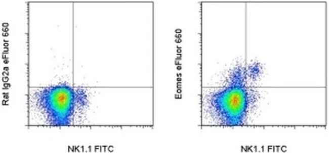 EOMES Monoclonal Antibody (Dan11mag), eFluor 660, eBioscience