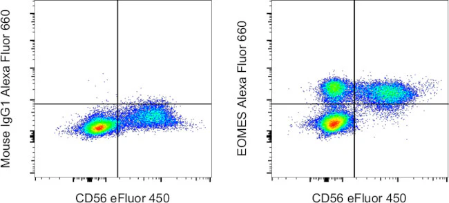 EOMES Monoclonal Antibody (WD1928), Alexa Fluor 660, eBioscience