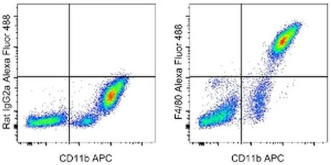 F4/80 Monoclonal Antibody (BM8), Alexa Fluor 488, eBioscience