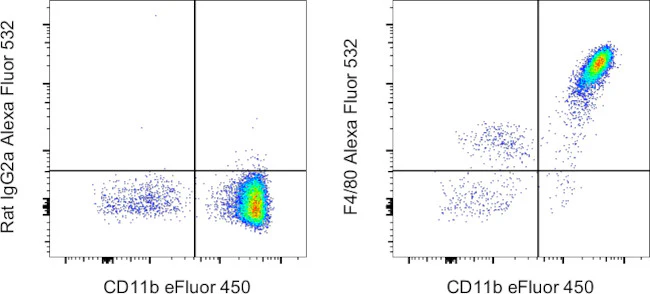 F4/80 Monoclonal Antibody (BM8), Alexa Fluor 532, eBioscience