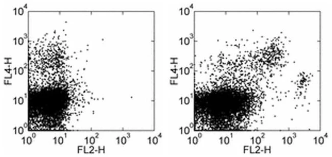 F4/80 Monoclonal Antibody (BM8), Biotin, eBioscience