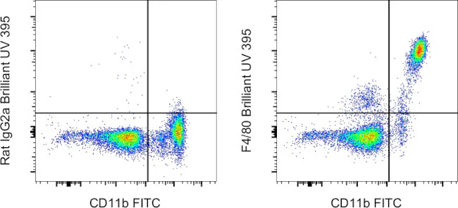 F4/80 Monoclonal Antibody (BM8), Brilliant Ultra Violet 395, eBioscience