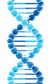 FastPROBE™ 1-Step RT-qPCR Plus No-ROX Kit