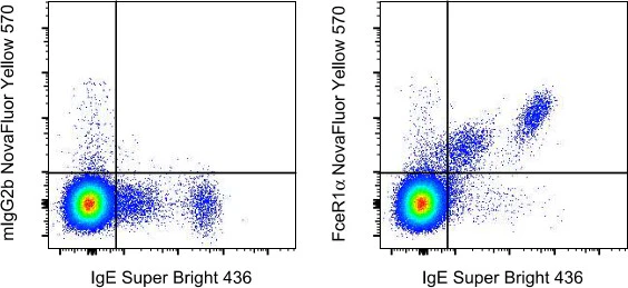 FceR1 alpha Monoclonal Antibody (AER-37 (CRA1)), NovaFluor™ Yellow 570