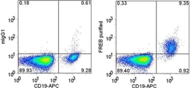 FCRLA (FREB) Monoclonal Antibody (N28.1), eBioscience
