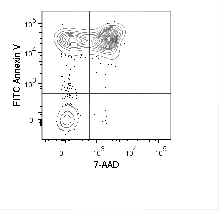FITC Annexin V