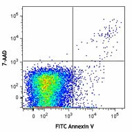 FITC Annexin V Apoptosis Detection Kit with 7-AAD - Image 2