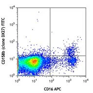 FITC anti-human CD158b/j (KIR2DL2/L3/S2)