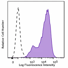 FITC anti-human CD186 (CXCR6)