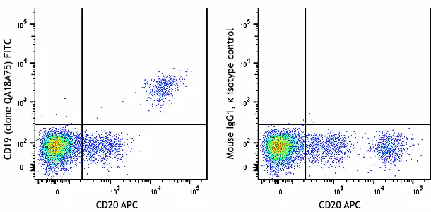 FITC anti-human CD19 Recombinant