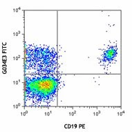 FITC anti-human CD196 (CCR6)