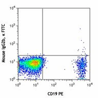 FITC anti-human CD196 (CCR6) - Image 2