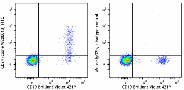 FITC anti-human CD24