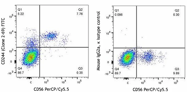 FITC anti-human CD244 (2B4)