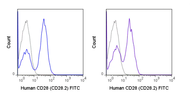 FITC Anti-Human CD28 (CD28.2) - Image 2
