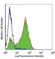 FITC anti-human CD338 (ABCG2)