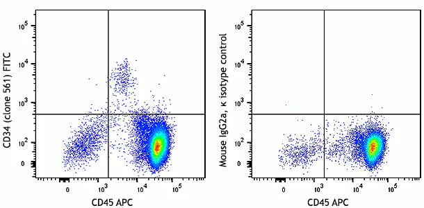 FITC anti-human CD34