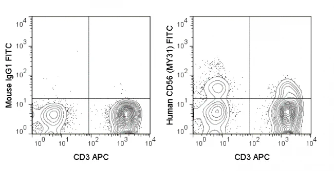 FITC Anti-Human CD56 (NCAM) (MY31)