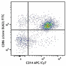FITC anti-human CD86