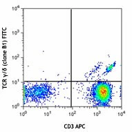 FITC anti-human TCR γ/δ