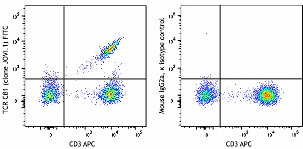 FITC anti-human TCR Cβ1