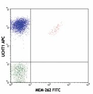 FITC anti-human TCR Vβ5 related subset