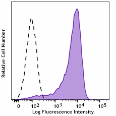 FITC anti-mouse CD13 Recombinant