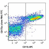 FITC anti-mouse CD172a (SIRPα)