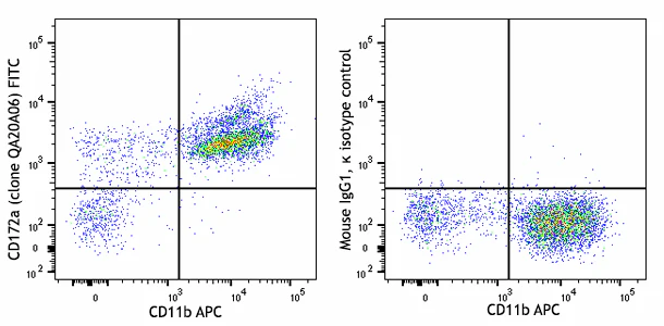 FITC anti-mouse CD172a (SIRPα) Recombinant
