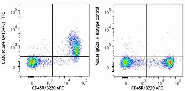 FITC anti-mouse CD20 Recombinant