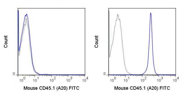 FITC Anti-Mouse CD45.1 (A20)