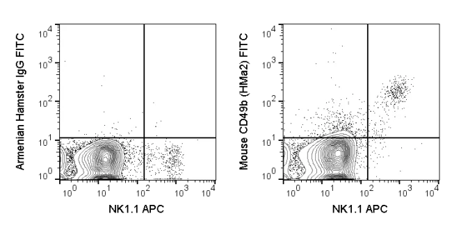 FITC Anti-Mouse CD49b (HMa2)